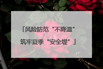 风险防范“不降温” 筑牢夏季“安全堤”