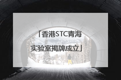 香港STC青海实验室揭牌成立