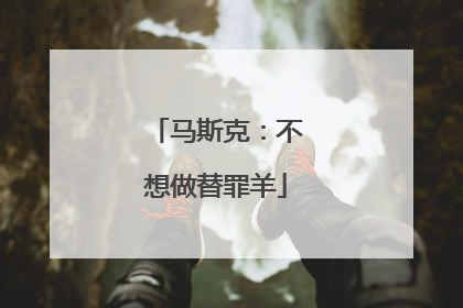 马斯克：不想做替罪羊