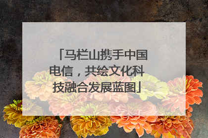 马栏山携手中国电信，共绘文化科技融合发展蓝图