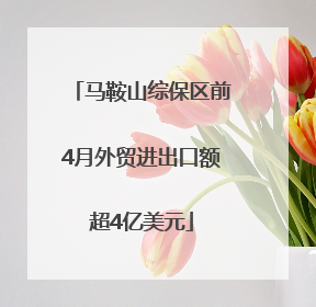 马鞍山综保区前4月外贸进出口额超4亿美元