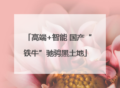 高端+智能 国产“铁牛”驰骋黑土地