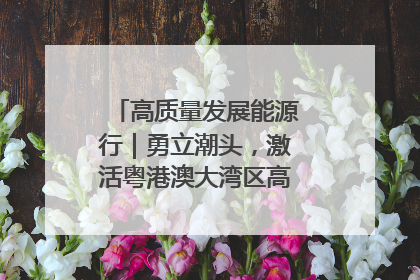 高质量发展能源行｜勇立潮头，激活粤港澳大湾区高质量发展动力源