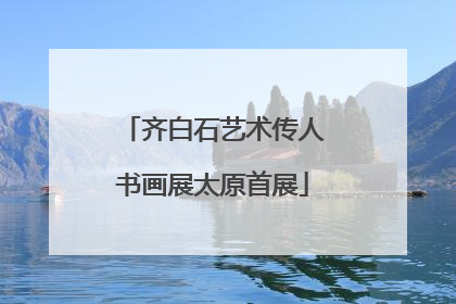 齐白石艺术传人书画展太原首展
