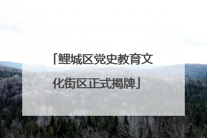 鲤城区党史教育文化街区正式揭牌