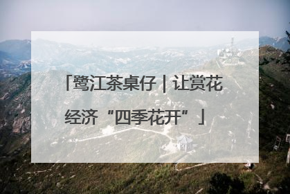 鹭江茶桌仔｜让赏花经济“四季花开”