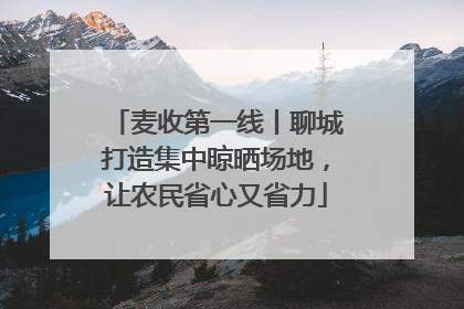 麦收第一线丨聊城打造集中晾晒场地，让农民省心又省力
