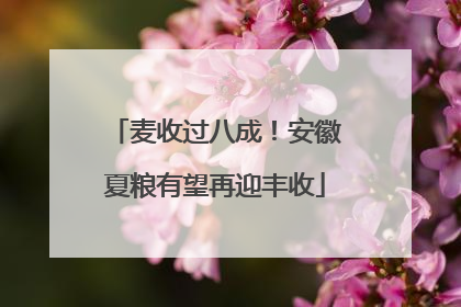 麦收过八成！安徽夏粮有望再迎丰收