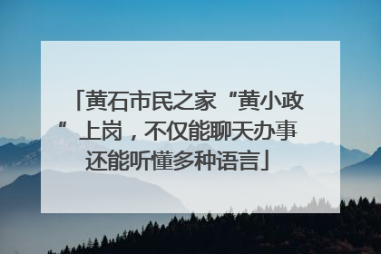 黄石市民之家“黄小政”上岗，不仅能聊天办事还能听懂多种语言