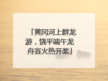 黄冈河上群龙游，饶平端午龙舟赛火热开桨