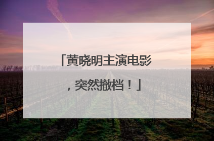 黄晓明主演电影，突然撤档！