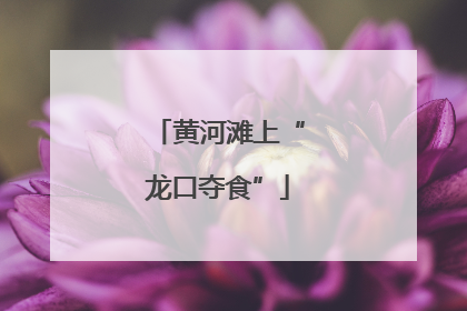 黄河滩上“龙口夺食”