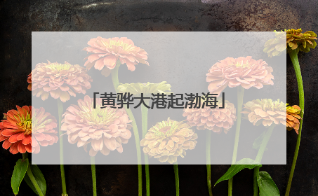 黄骅大港起渤海