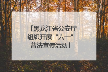 黑龙江省公安厅组织开展“六一”普法宣传活动
