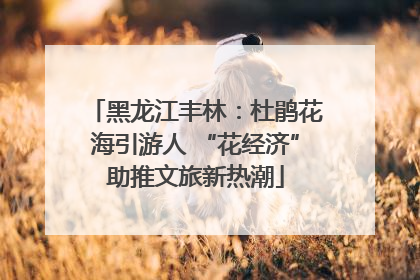 黑龙江丰林：杜鹃花海引游人 “花经济”助推文旅新热潮