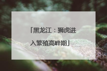 黑龙江：狮虎进入繁殖高峰期