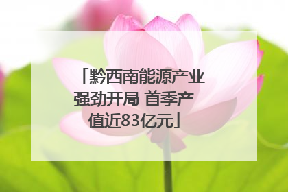 黔西南能源产业强劲开局 首季产值近83亿元
