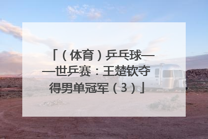 （体育）乒乓球——世乒赛：王楚钦夺得男单冠军（3）
