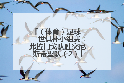 （体育）足球——世俱杯小组赛：弗拉门戈队胜突尼斯希望队（2）