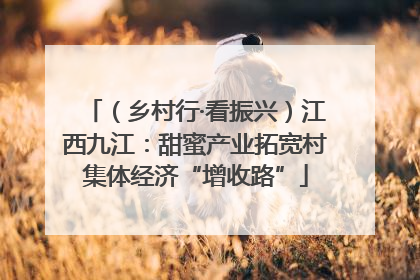 （乡村行·看振兴）江西九江：甜蜜产业拓宽村集体经济“增收路”