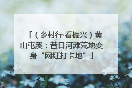 （乡村行·看振兴）黄山屯溪：昔日河滩荒地变身“网红打卡地”
