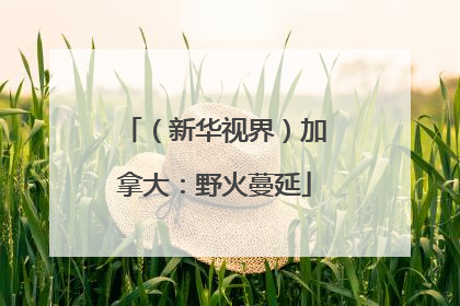 （新华视界）加拿大：野火蔓延