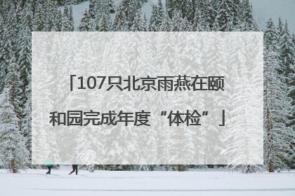 107只北京雨燕在颐和园完成年度“体检”