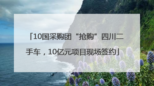 10国采购团“抢购”四川二手车，10亿元项目现场签约