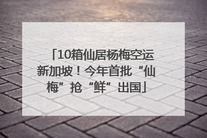 10箱仙居杨梅空运新加坡！今年首批“仙梅”抢“鲜”出国