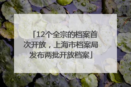 12个全宗的档案首次开放，上海市档案局发布两批开放档案