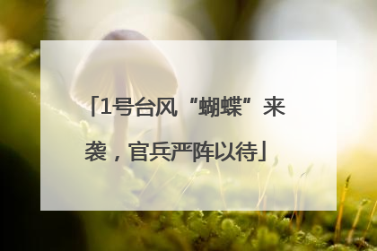1号台风“蝴蝶”来袭，官兵严阵以待