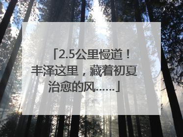 2.5公里慢道！丰泽这里，藏着初夏治愈的风……