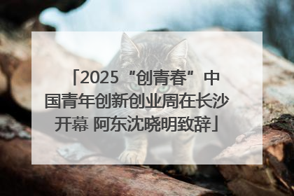 2025“创青春”中国青年创新创业周在长沙开幕 阿东沈晓明致辞
