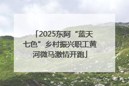 2025东阿“蓝天七色”乡村振兴职工黄河微马激情开跑