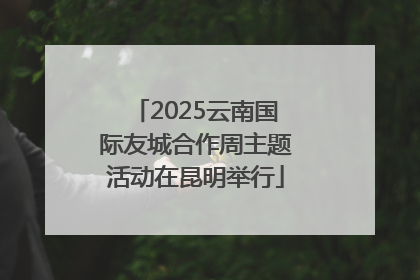2025云南国际友城合作周主题活动在昆明举行