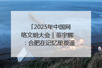 2025年中国网络文明大会｜董宇辉：合肥在记忆里很遥远也很亲切