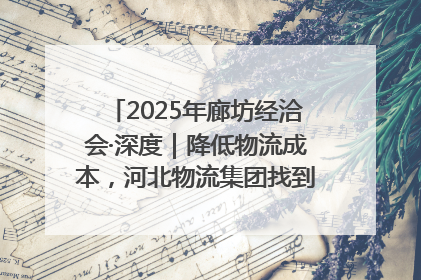 2025年廊坊经洽会·深度｜降低物流成本，河北物流集团找到一把“金钥匙”