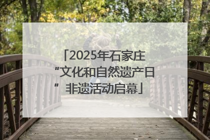 2025年石家庄“文化和自然遗产日”非遗活动启幕