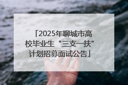 2025年聊城市高校毕业生“三支一扶”计划招募面试公告