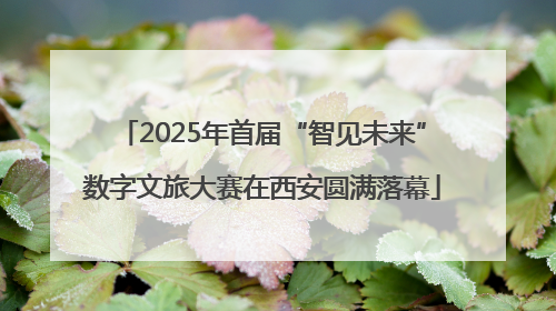 2025年首届“智见未来”数字文旅大赛在西安圆满落幕