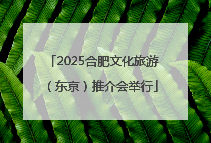 2025合肥文化旅游（东京）推介会举行