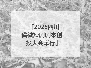 2025四川省微短剧剧本创投大会举行