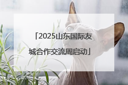 2025山东国际友城合作交流周启动