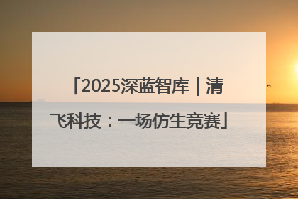 2025深蓝智库｜清飞科技：一场仿生竞赛