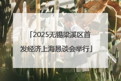2025无锡梁溪区首发经济上海恳谈会举行
