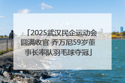 2025武汉民企运动会圆满收官 乔万尼59岁董事长率队羽毛球夺冠