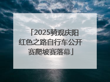 2025骑观庆阳红色之路自行车公开赛爬坡赛落幕