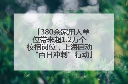 380余家用人单位带来超1.2万个校招岗位，上海启动“百日冲刺”行动