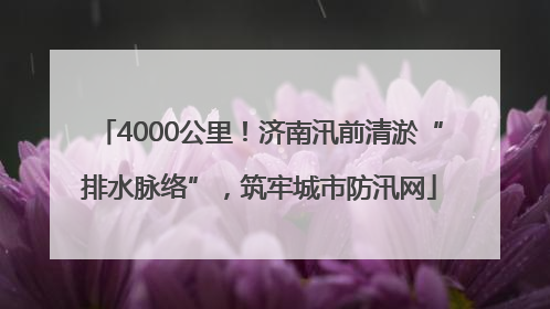 4000公里！济南汛前清淤“排水脉络”，筑牢城市防汛网