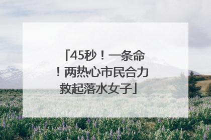 45秒！一条命！两热心市民合力救起落水女子